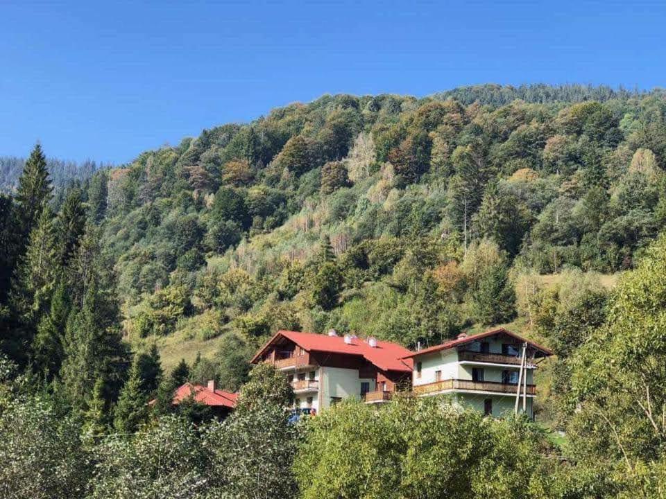 Лісова Казка Hotel Slavske Exterior foto